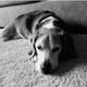 Image for article titled Shooting Challenge: Cellphone Gallery Part 6